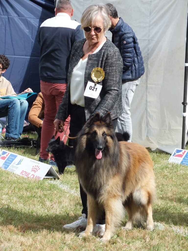 UROY des Loups de la Tiarde, 1er excellent CACS à Saint-Jean-d’Angély
