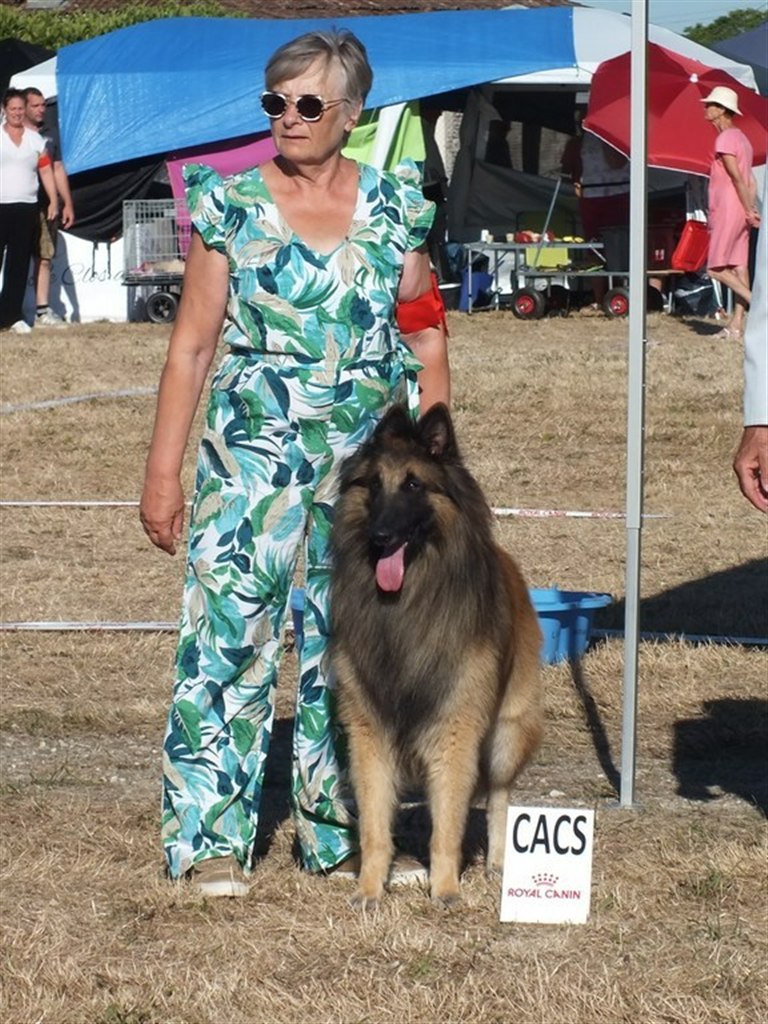 UROY des Loups de la Tiarde, 1er excellent CACS, meilleur de race à Sigogne